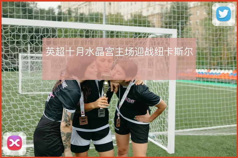 英超十月水晶宫主场迎战纽卡斯尔